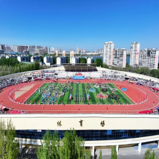 成都蓉城连胜佳绩引发广泛关注